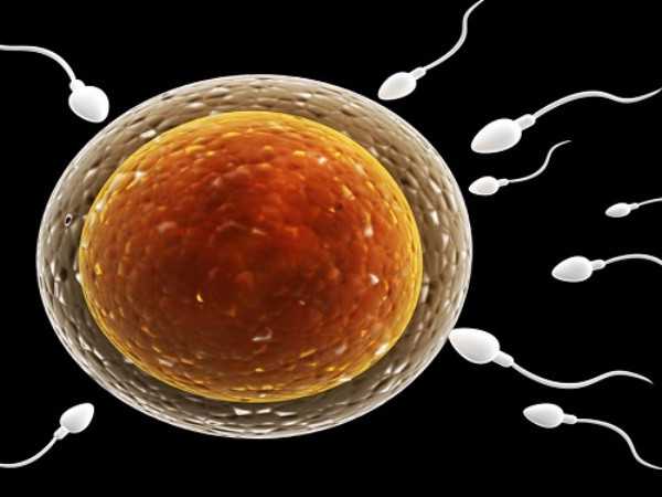 麻醉取卵只有1个卵子能配成优质胚胎么？